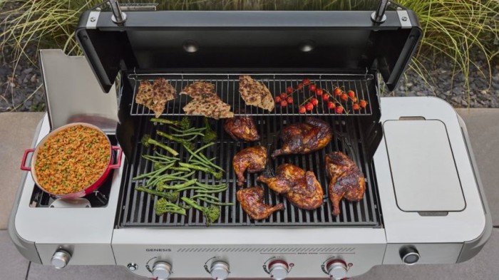 Weber Genesis E-435W Gasgrill, 1501258