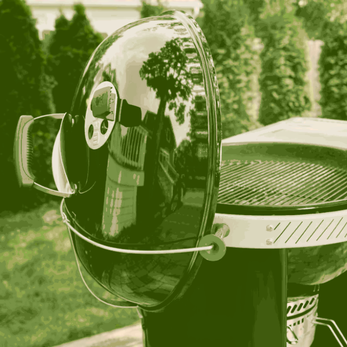 Weber Performer Premium Holzkohlegrill Ø 57 cm, 1501966