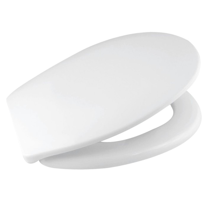 WELLWATER WC-Sitz, Duroplast, oval, mit Softclose-Funktion, 956286