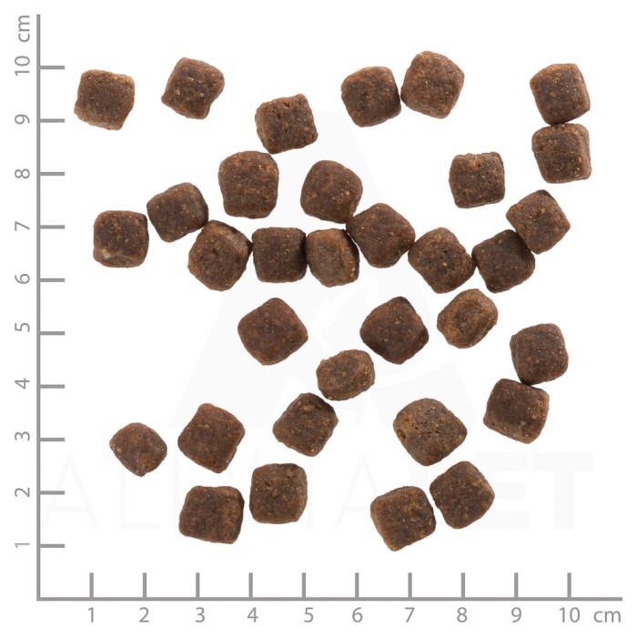 Wolfsblut Wild Duck für ausgewachsene Hunde kleiner Rassen, Trockenfutter, 2 kg, WB761187