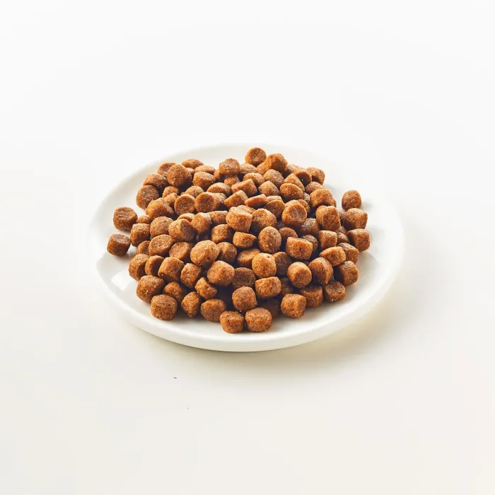 KATTOVIT Gastro Trockenfutter, 1.25 kg, 180644