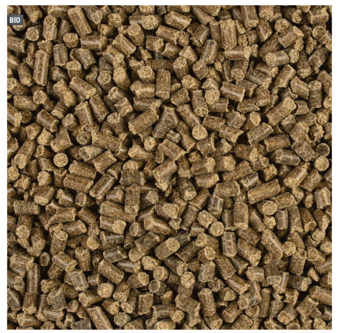 COMPO BIO Rhododendron- und Hortensien Dünger mit Schafwolle, 750g, 26723