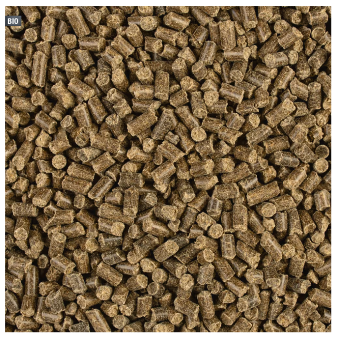 COMPO BIO Rhododendron- und Hortensien Dünger mit Schafwolle, 2 Kg, 26725