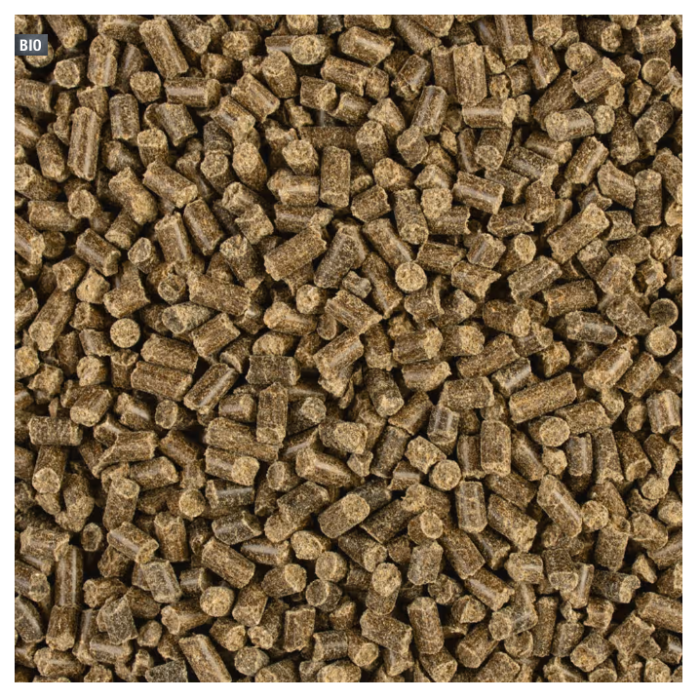 COMPO BIO Beeren- und Obst Dünger mit Schafwolle, 2 kg, 26727