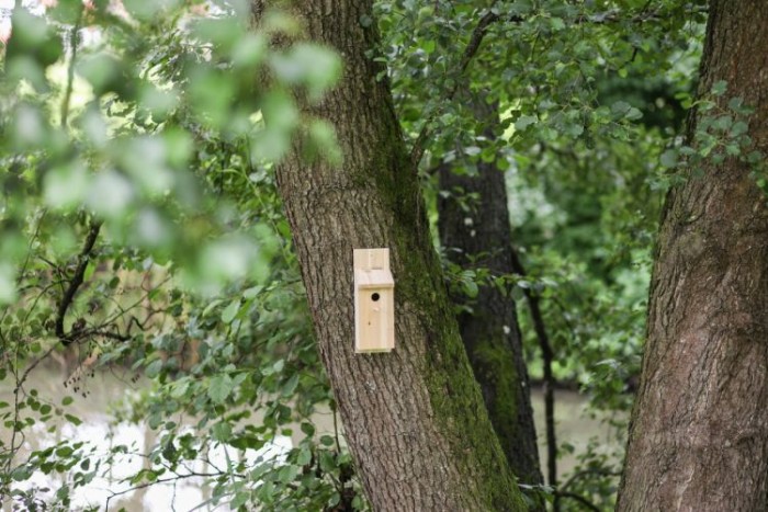 Kerbl Nistkasten Selbstbauset, 82959