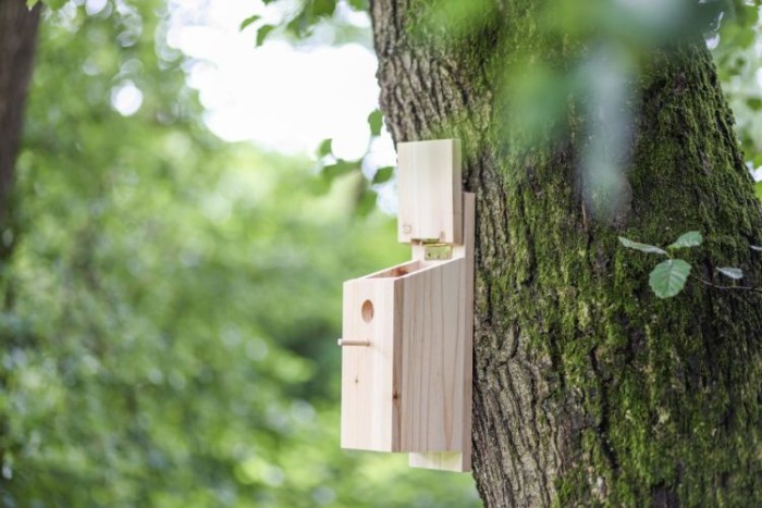 Kerbl Nistkasten Selbstbauset, 82959