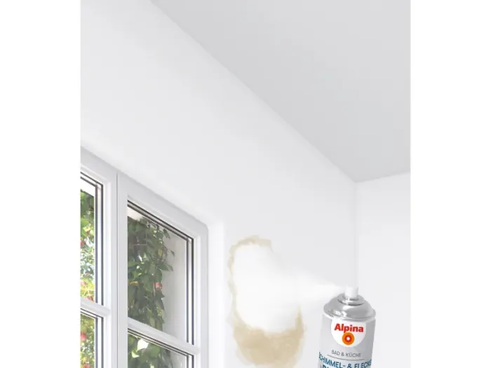 Alpina Bad & Küche Schimmel- & Flecken-Blocker, weiß, 400ml, 2003752