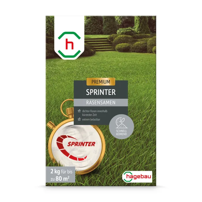 Rasensamen Sprinterrasen 2,0Kg Karton für 80 m2, 629650