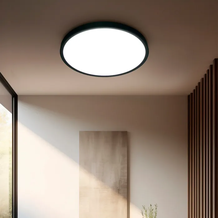 Casaya LED-Deckenleuchte Medora, rund, Ø: 30 cm, 24 W, 2500 lm, schwarz, 997353