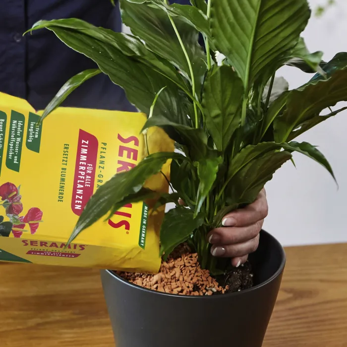 Seramis Pflanz-Granulat für alle Zimmerpflanzen, 2,5 l, 730024