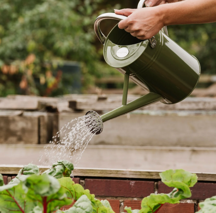 Kent & Stowe 4,5 Liter Vintage Gießkanne in olivgrün – im klassisch englischen Stil mit 2 Griffen, 735715