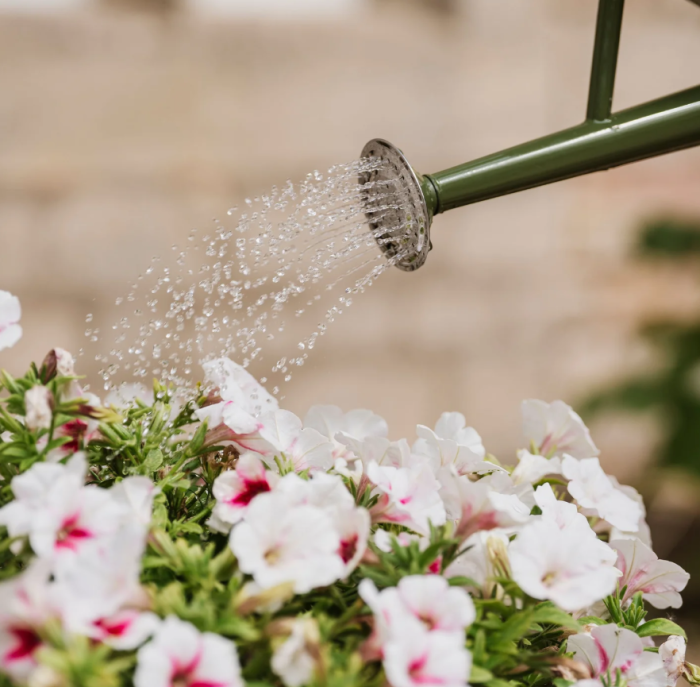 Kent & Stowe 4,5 Liter Vintage Gießkanne in olivgrün – im klassisch englischen Stil mit 2 Griffen, 735715