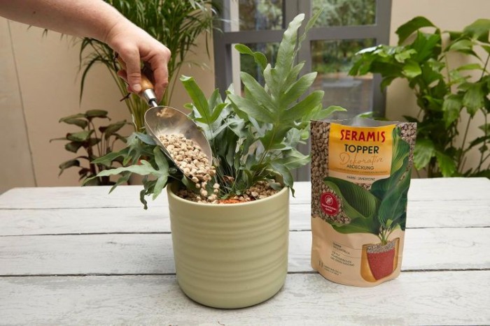 Seramis Topper Granulat Limestone, 1L, 737986