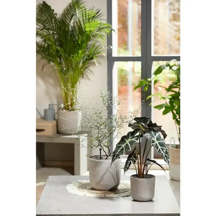 Seramis Topper Granulat Graphite, 1 L, 738044