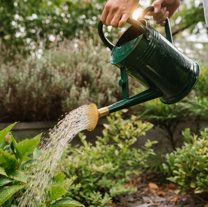 Kent & Stowe Gießkanne aus Metall, Waldgrün, 4,5 l, 70300648