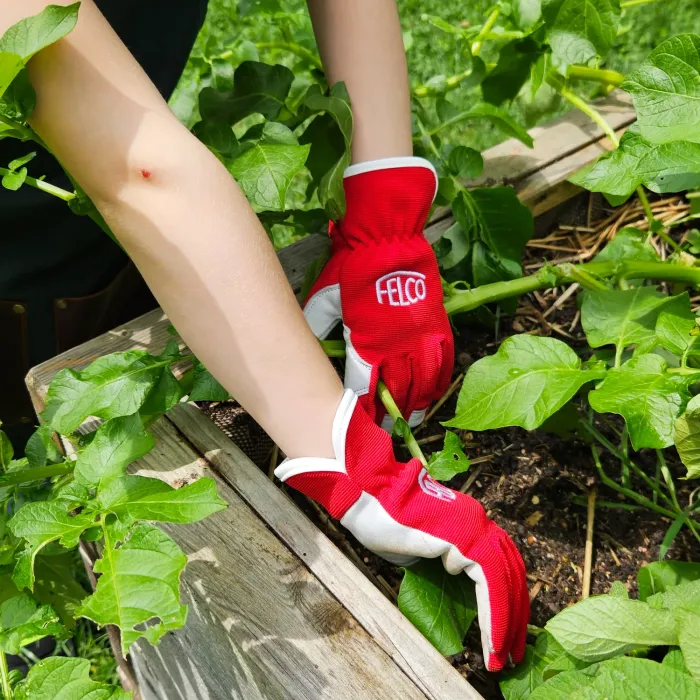 FELCO 720 KIDS Kinder Gartenhandschuhe, 8–10 Jahre, F720