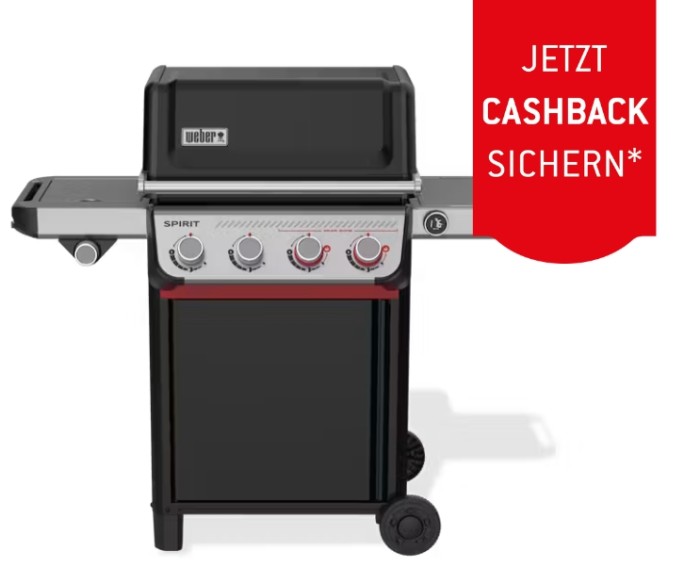 Weber Spirit EX-435 Smarter Gasgrill, 1502312