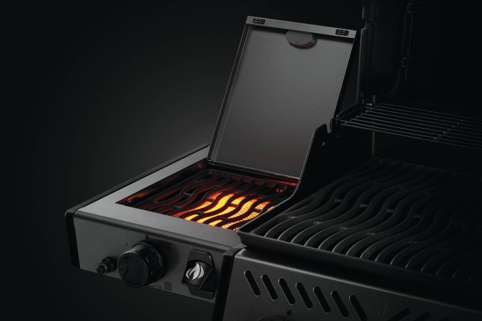 Napoleon Gasgrill Freestyle F365DSIB mit Infrarot-Seitenbrenner, 4 Brenner, graphit, F365DSIBPGT-DE