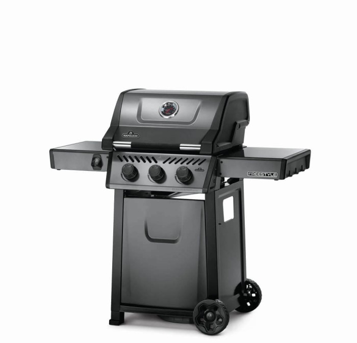 Napoleon Gasgrill Freestyle F365PGT graphit, F365PGT-DE