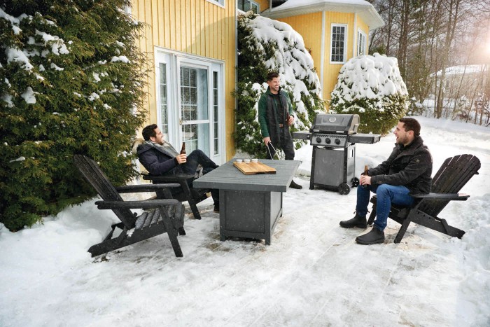 Napoleon Gasgrill Freestyle F365PGT graphit, F365PGT-DE