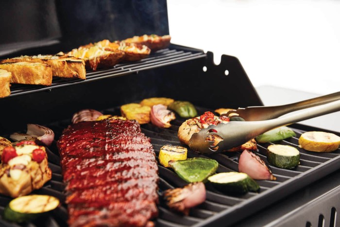 Napoleon Gasgrill Freestyle F365PGT graphit, F365PGT-DE