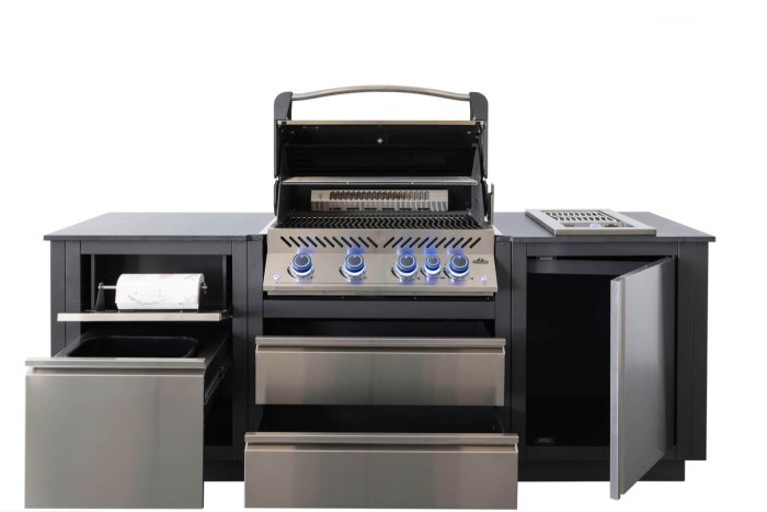 Napoleon OASIS™ 105 Outdoor-Küche, Einbaugrill P500 mit SIZZLE ZONE™ Seitenbrenner, 6 Brenner, ODK105-P500P-DE