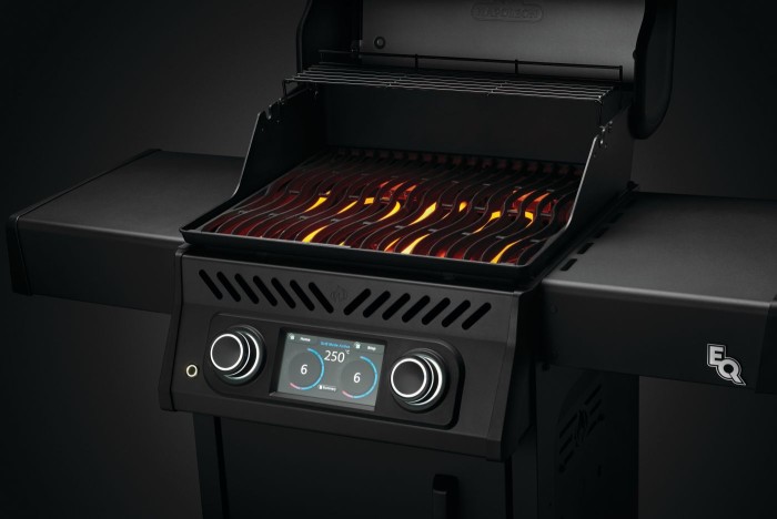 Napoleon Elektrogrill Rogue EQ365, 5,4 KW mattschwarz, 2 Brenner, REQ365MK-CE