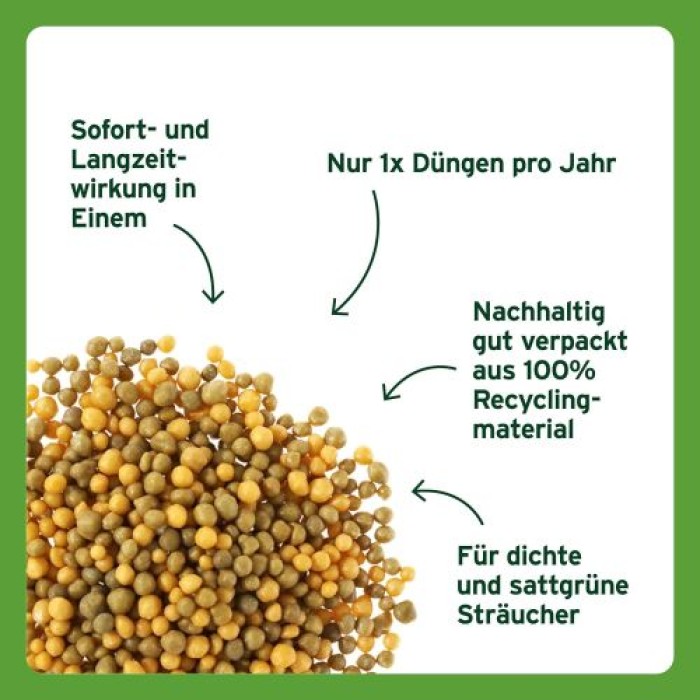 Substral Langzeit Depotdünger für Buchs & Hecken, 1,5 kg, 75080