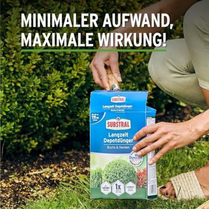 Substral Langzeit Depotdünger für Buchs & Hecken, 1,5 kg, 75080