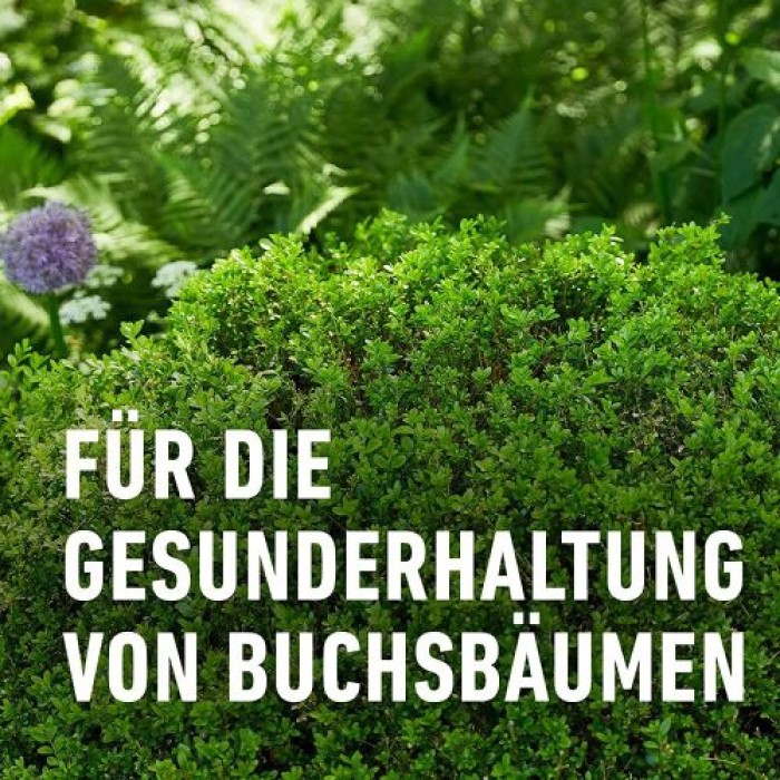 Compo Algenkalk für Buchsbäume, Pulver, zur Unterdrückung des Buchsbaumzünslers, 1 kg, 22079