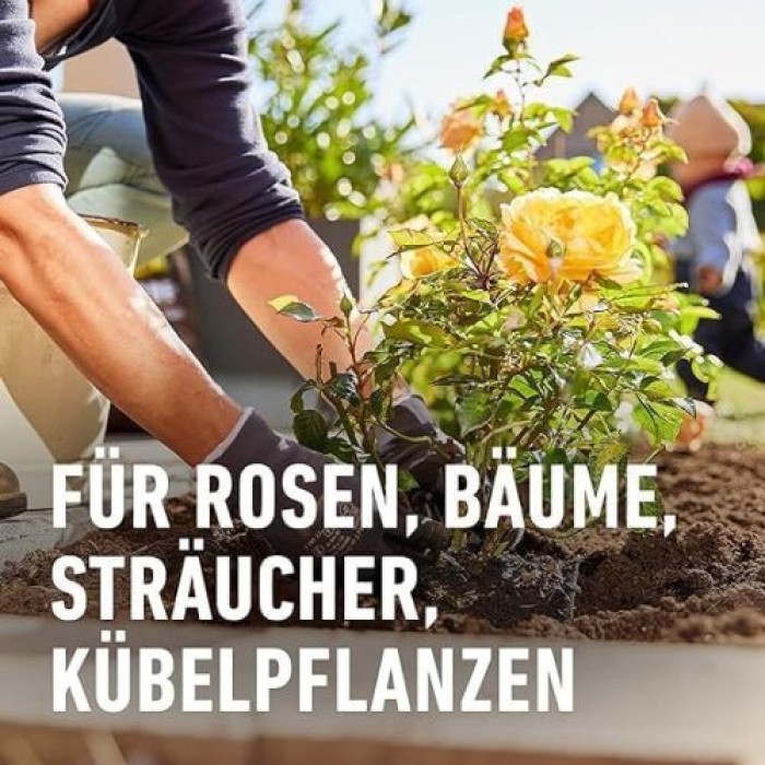 Compo Anwachs-Turbo Agrosil 50 g, 10267