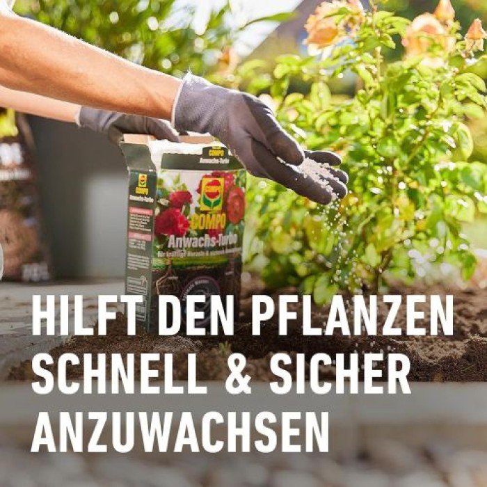 COMPO Anwachs-Turbo, Spezieller Dünger, 0,7 kg, 10704