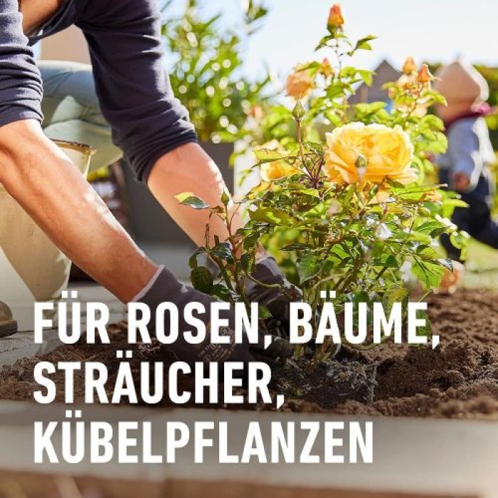 COMPO Anwachs-Turbo, Spezieller Dünger, 0,7 kg, 10704