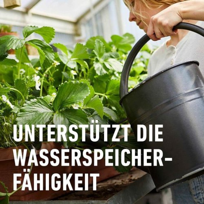 COMPO BIO Beeren Langzeit-Dünger für alle Beerenpflanzen, Kernobst und Steinobst, 5 Monate Langzeitwirkung, 2 kg, 20299