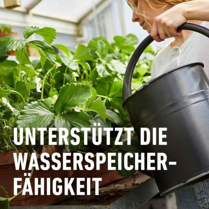 COMPO BIO Beeren Langzeit-Dünger mit Schafwolle, 5 Monate Langzeitwirkung, 750 g, 20298