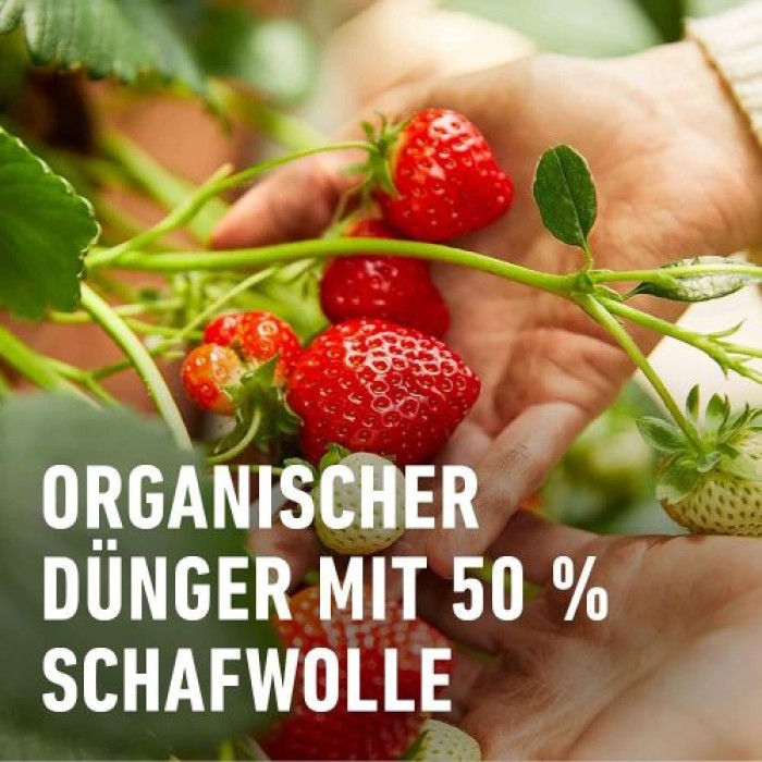 COMPO BIO Beeren Langzeit-Dünger mit Schafwolle, 5 Monate Langzeitwirkung, 750 g, 20298