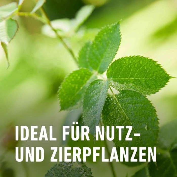 COMPO Bio Grundstoff Brennnessel 1 l Konzentrat, 28567