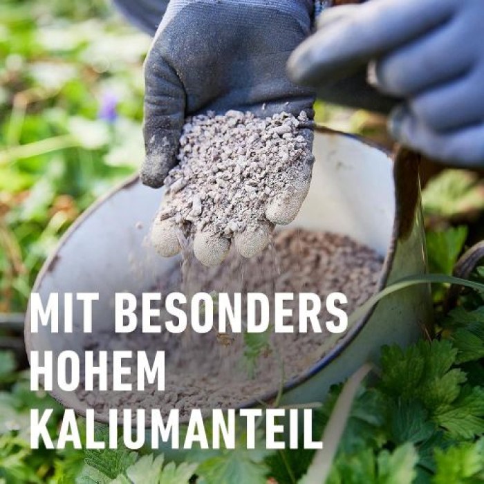 COMPO BIO Herbst-Fit, Spezial-Gartendünger für alle Gartenpflanzen, Für mehr Widerstandsfähigkeit gegen Frost, 2 kg, 28609