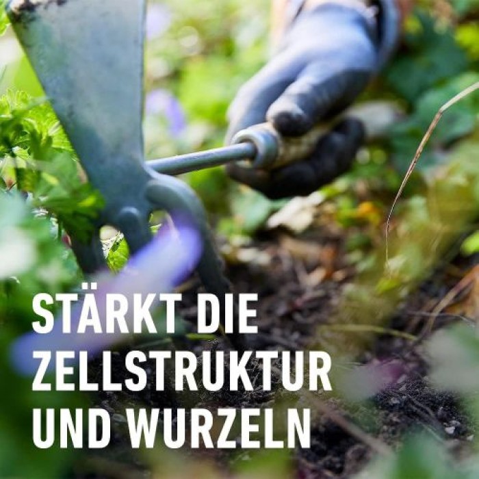 COMPO BIO Herbst-Fit, Spezial-Gartendünger für alle Gartenpflanzen, Für mehr Widerstandsfähigkeit gegen Frost, 2 kg, 28609