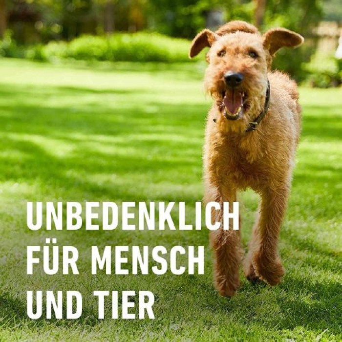 Compo BIO Herbst-Rasendünger, mit 3 Monate Langzeitwirkung, 20 kg, 400 m², 28590