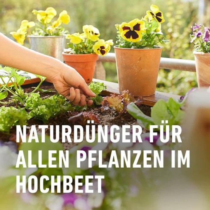 COMPO BIO Hochbeet Langzeit-Dünger, 5 Monate Langzeitwirkung, 750 g, 20267