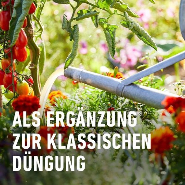 COMPO BIO Hochbeetaktivator, für eine besonders ertragreiche Ernte, 100% natürliche Inhaltsstoffe, 500 ml, 28640