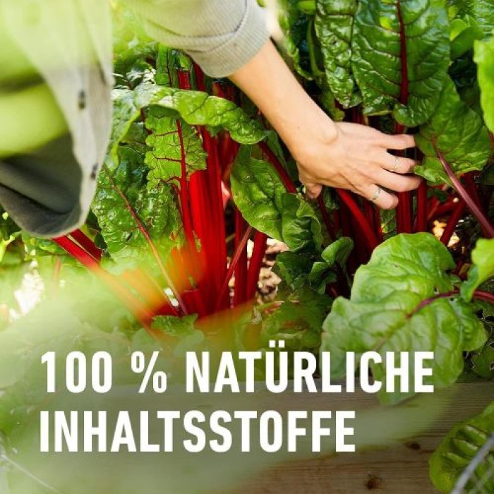 COMPO BIO Hochbeetaktivator, für eine besonders ertragreiche Ernte, 100% natürliche Inhaltsstoffe, 500 ml, 28640