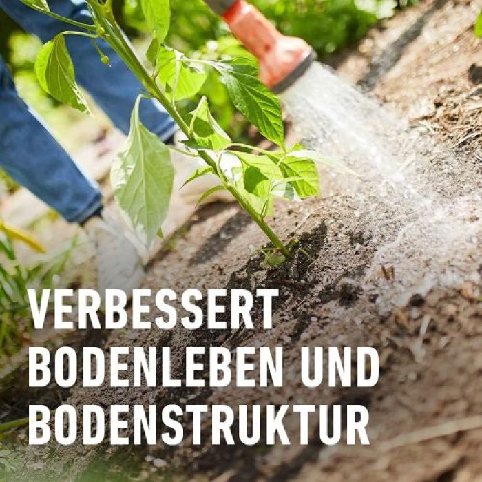 COMPO BIO Hornspäne, Hochwertiger und natürlicher Dünger mit Stickstoff, Ideal auch als Tomatendünger, 2,5 kg 2,5 kg Single 12611