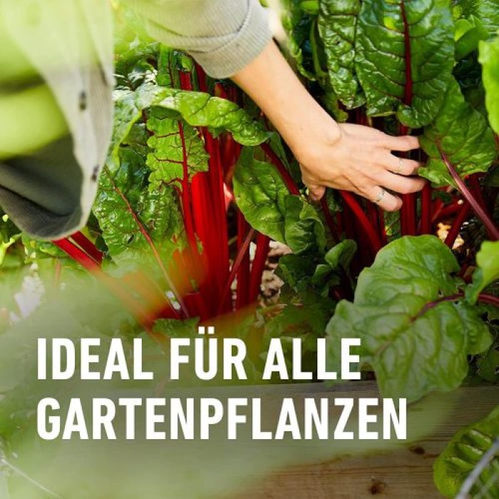 COMPO BIO Naturdünger mit Guano, für alle Gartenpflanzen, 3 kg, 12451