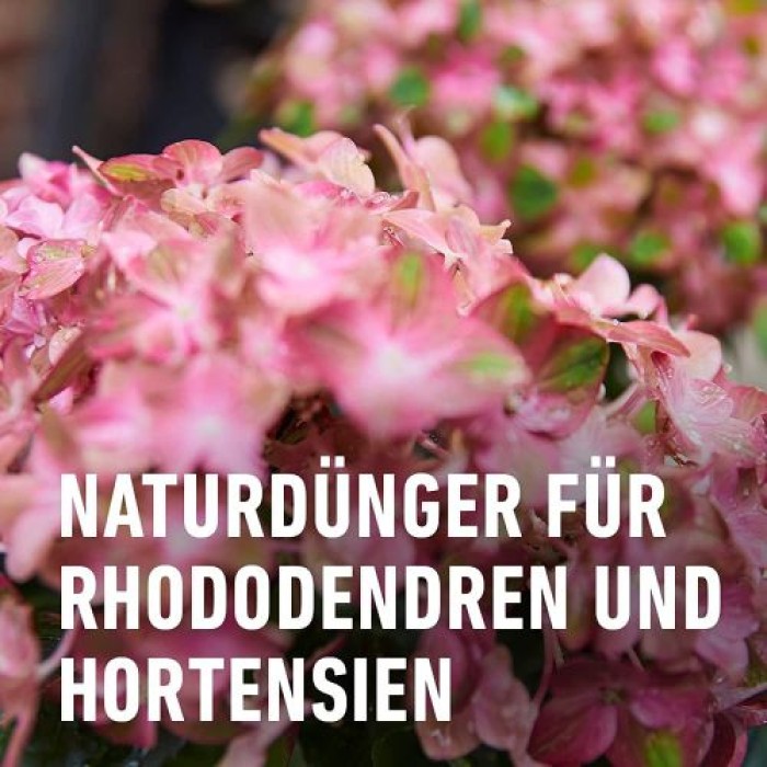 COMPO BIO Rhododendron- und Hortensien Langzeitdünger, 5 Monate Langzeitwirkung, 2 kg, 20294