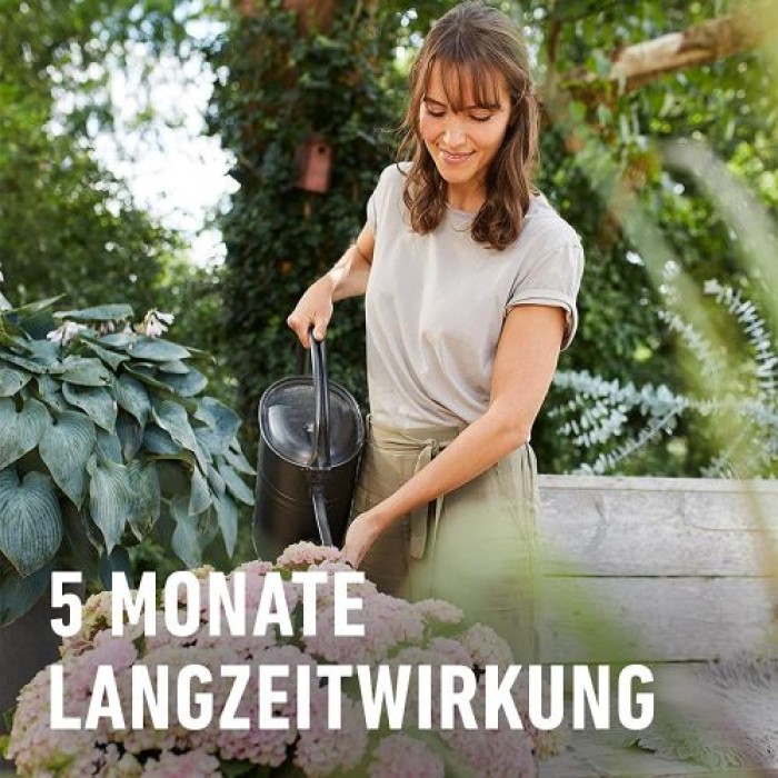 COMPO BIO Rhododendron- und Hortensien Langzeitdünger, 5 Monate Langzeitwirkung, 2 kg, 20294