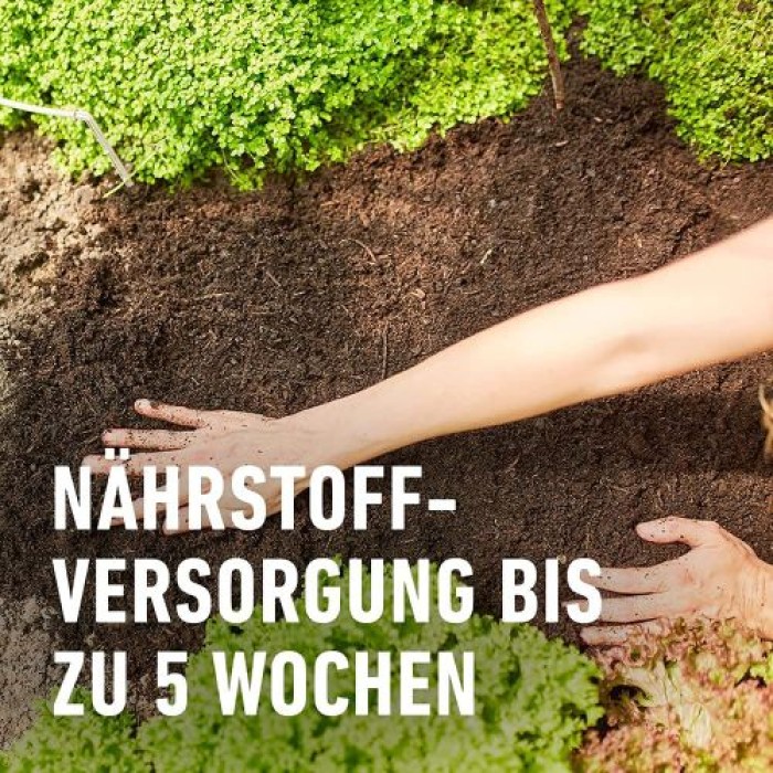 COMPO BIO Tomaten- und Gemüseerde, Für alle Gemüsekulturen, Torffrei, 20 Liter, 28228