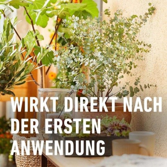COMPO BIO Zitruspflanzendünger für alle Zitruspflanzen-Arten, 500 ml, 22245