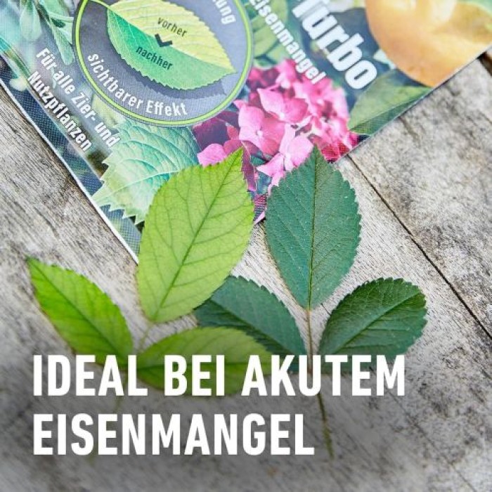 COMPO Blattgrün-Turbo 20g, 16104